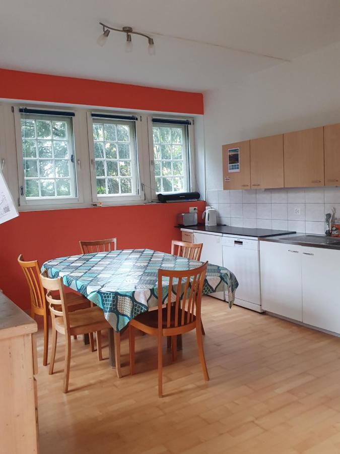 Zentral Gelegene Wohnung Mit Grossem Garten Interlaken Eksteriør billede