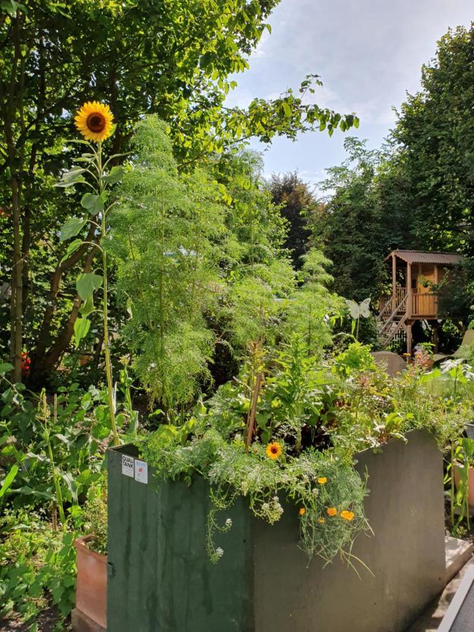 Zentral Gelegene Wohnung Mit Grossem Garten Interlaken Eksteriør billede