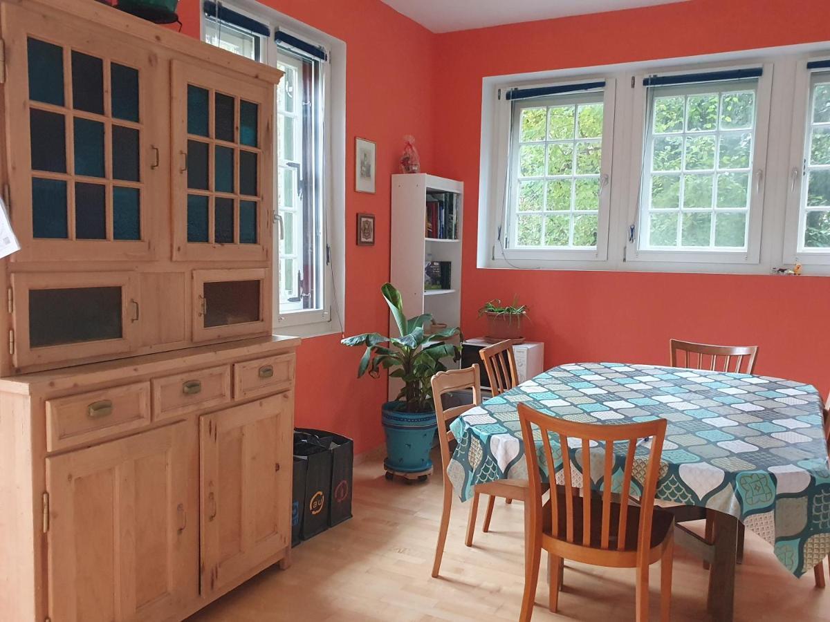 Zentral Gelegene Wohnung Mit Grossem Garten Interlaken Eksteriør billede